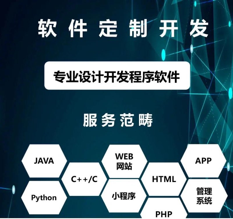 软件定制开发:企业信息化的关键伴侣